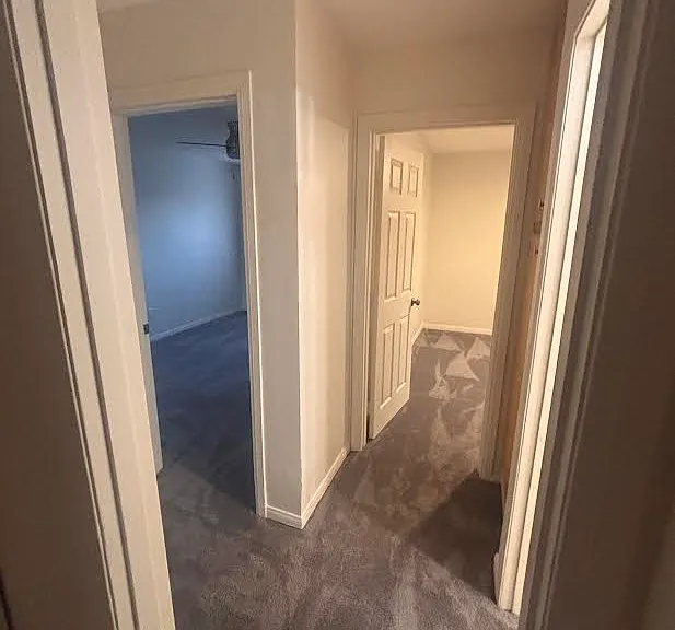 116 Palm Ave #8 — Photo 7