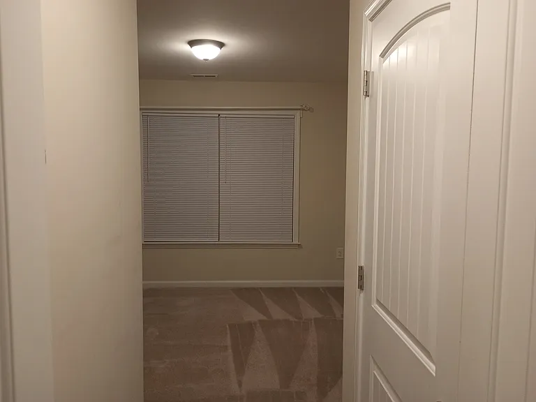 247 Cypress Hill Ln — Photo 18