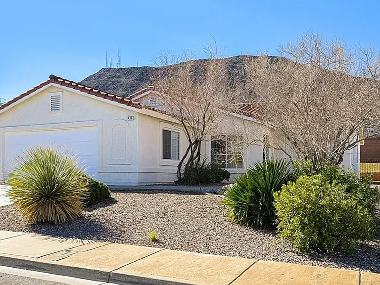 437 Palegold St — Photo 42