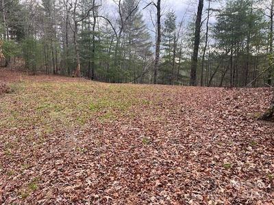 2035 Lower Tuskeegee Rd, Robbinsville, NC, 28771