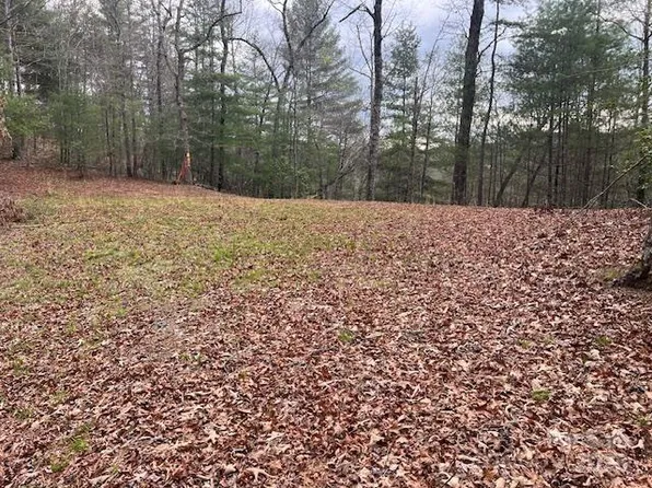 2035 Lower Tuskeegee Rd, Robbinsville, NC 28771