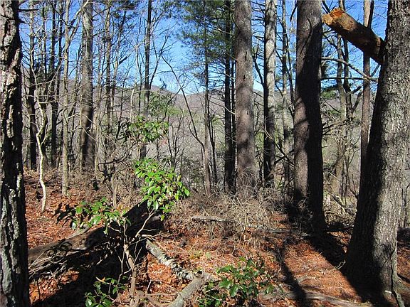 3rd image of 629 Blue Pine Ct Lot 629