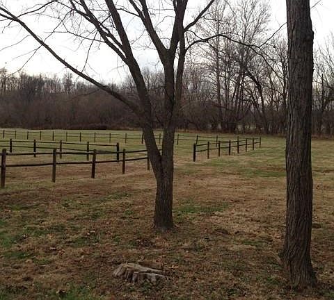 5th image of 512 Cane Creek Ln