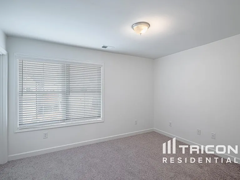 Tricon East Ridge — Photo 48