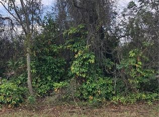 342 Lime Rd NW, Lake Placid, FL 33852