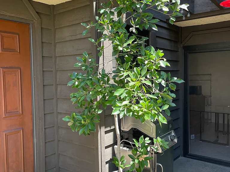 15050 Sherman Way #162 — Photo 28