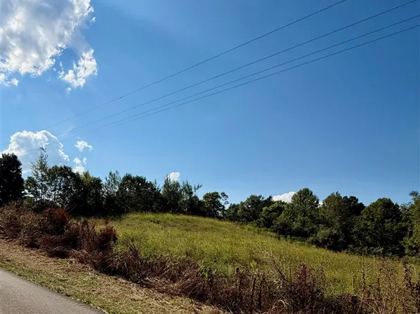 LOT 1 Lick Branch Rd, Glasgow, KY 42141
