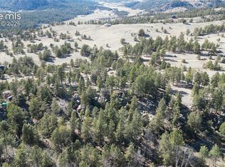 421 Crescent Dr, Florissant, CO 80816