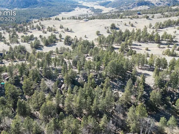 421 Crescent Dr, Florissant, CO 80816