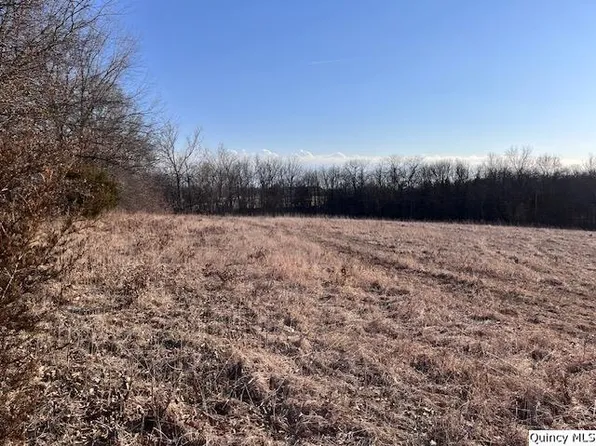 Sec 16 East Pl #2150, Liberty, IL 62347