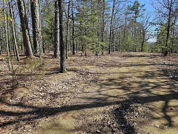 4th image of 599 Rocking T Dr