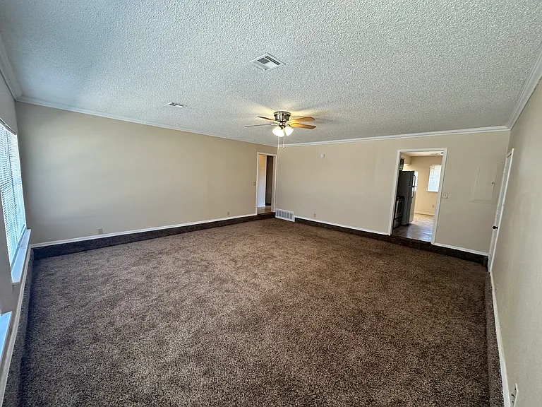 419 Sunrise St — Photo 5
