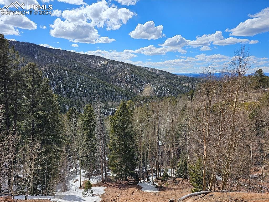 67 Highway, Divide, CO 80814 | MLS #2672609 | Zillow