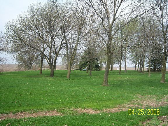 Pear Trees...Apple Trees... Hammock Oh My!