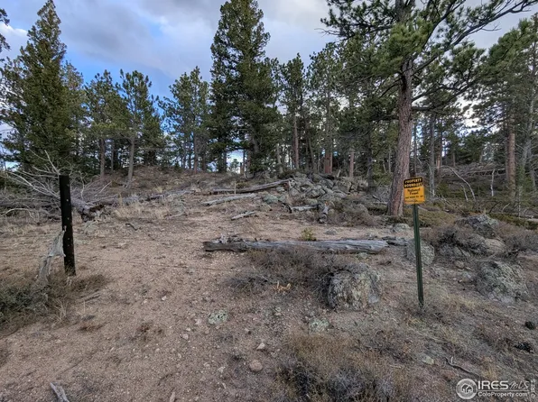 29 Santa Clara Ct, Red Feather Lakes, CO 80545