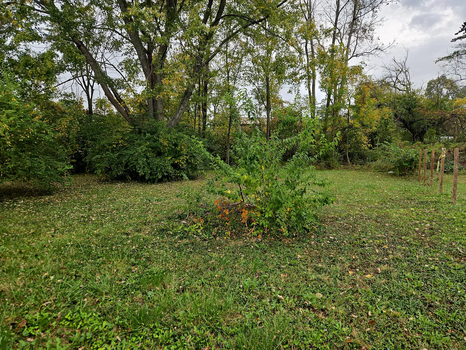 1242 Taylor Drive West - 1 — Photo 3