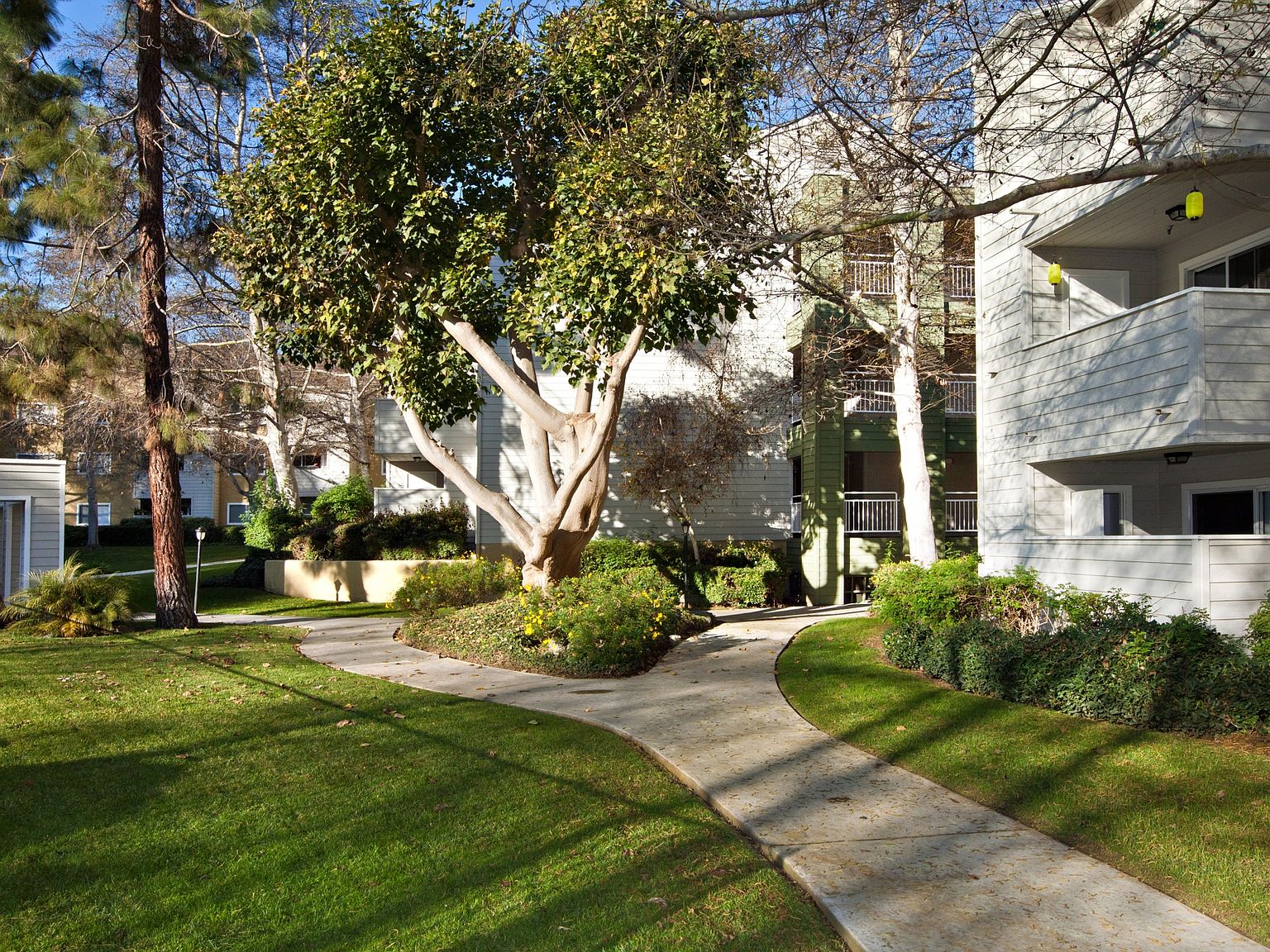2170 Carol View Dr, Cardiff By The Sea, CA 92007 Zillow