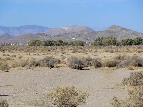 5th image of Vic Avenue A14 28 Stw Caliche