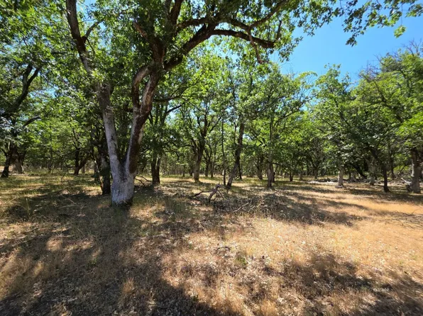 420 Oliva Dr, Hayfork, CA 96041