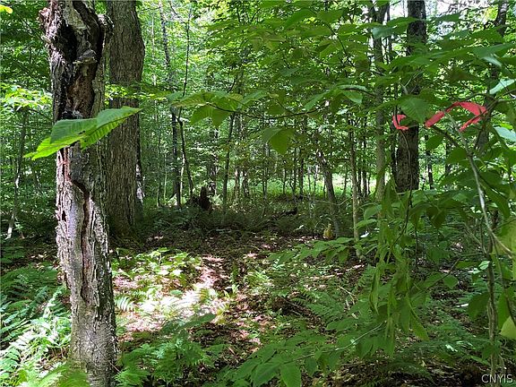 4th image of Town Line Rd #21