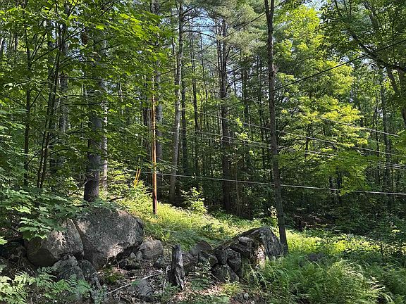 4th image of 0 George Road