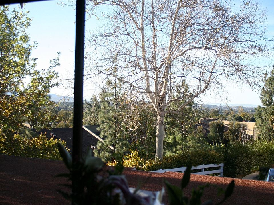 Kitchen window view