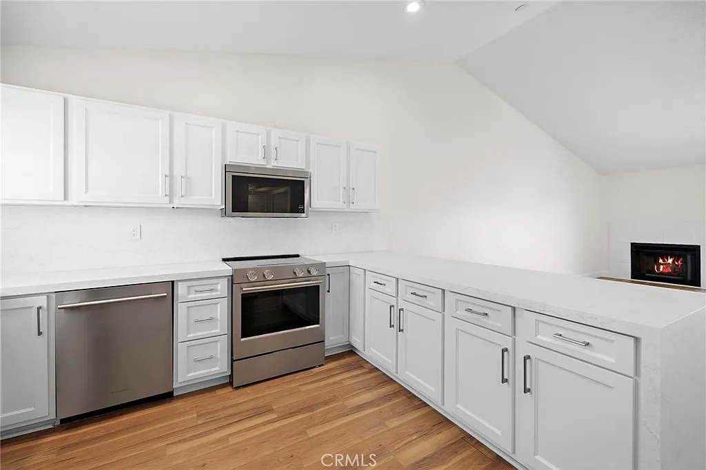 2 bed, 993 sqft, $3,900 — Photo 4