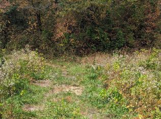 8 Wilson St, Blue Ridge, GA 30513