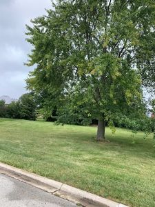 1211 Tranquility Ct, Naperville, IL, 60540