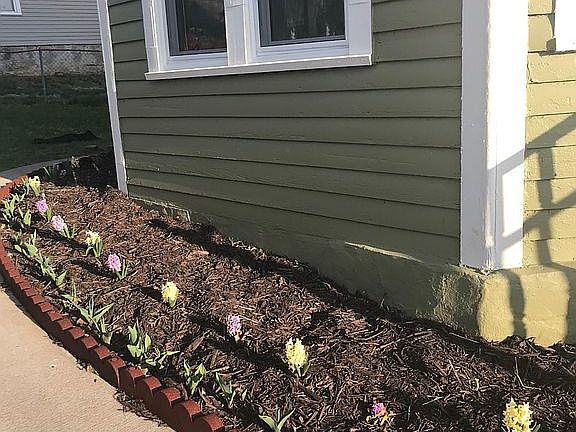 Easy to care for landscaping