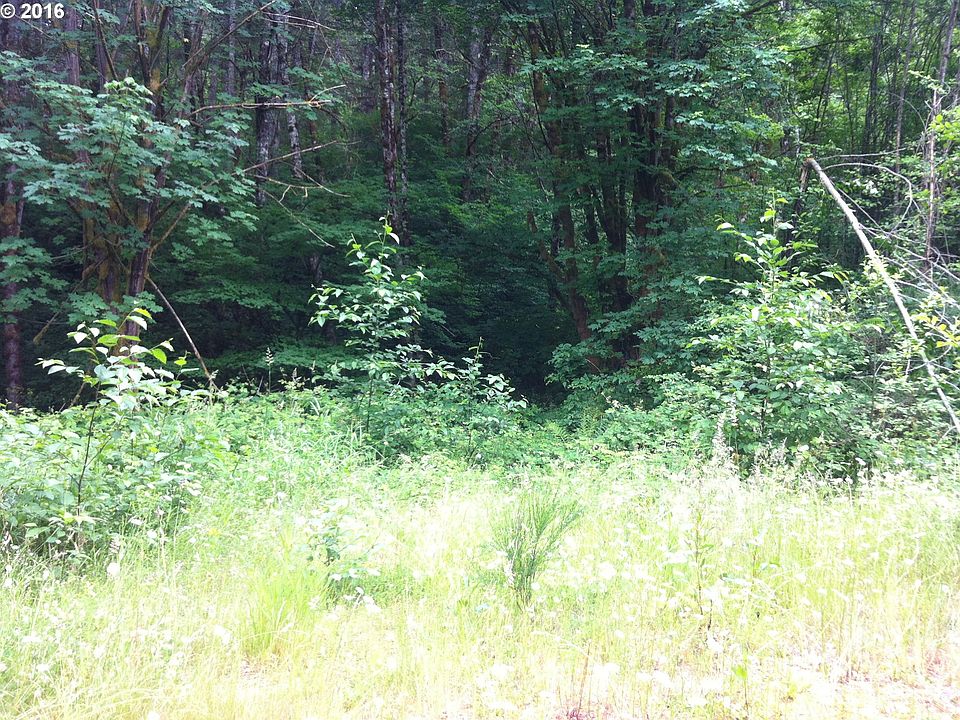 2nd image of 79367 Letz Creek Rd