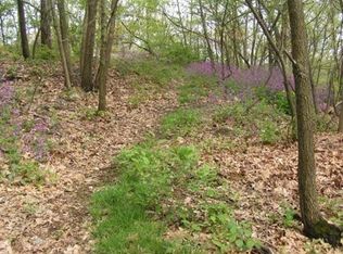 43 Rhinecliff St, Dedham, MA 02026