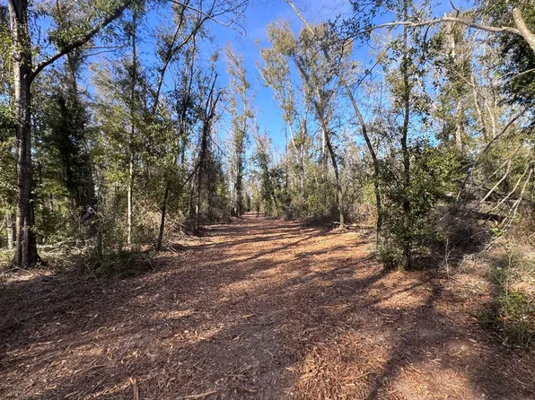 0 56th St, Live Oak, FL 32060