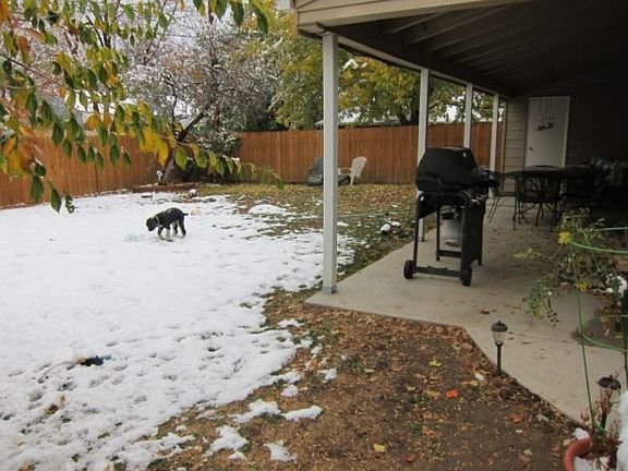fully fenced in back yard with covered patio
