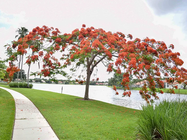 11077 Longboat Dr — Photo 15
