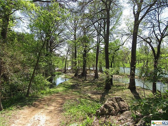2nd image of 2 Gruene Wald