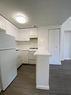 Rented by Voro NYC | media 28