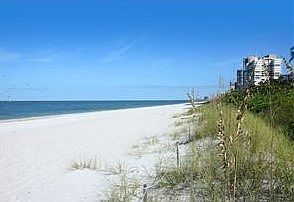 1st image of 4031 Gulf Shore Blvd N Penthouse 2C