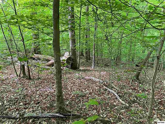 4th image of 786 Center Ridge Ct Lot 786