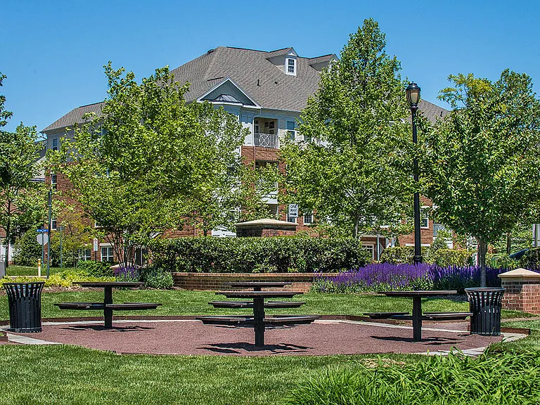 Picnic area