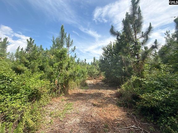 5th image of Mpf 5 Mount Pisgah Road 5 #Mpf