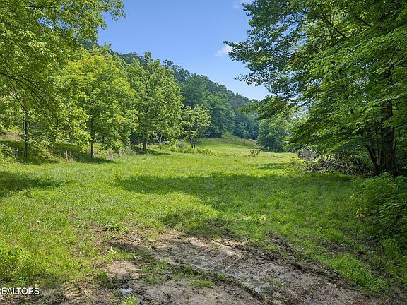 4th image of 8075 Snake Hollow Rd