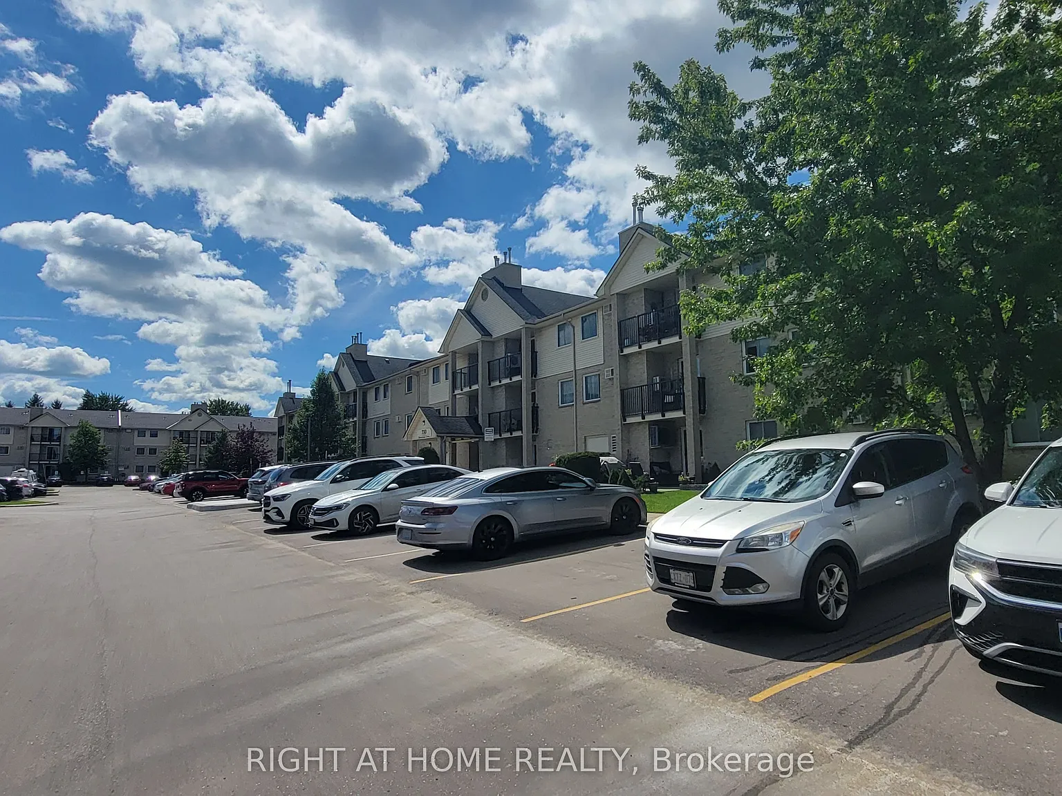 2 bed, $1,650 — Photo 1