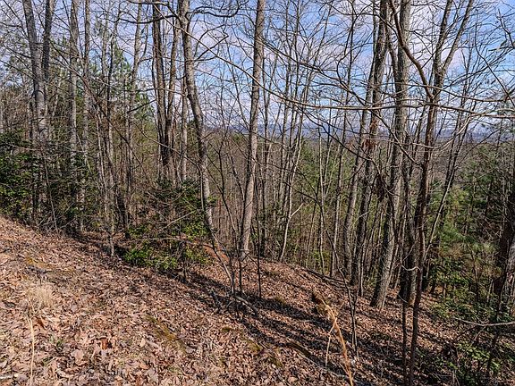 4th image of 19/20 Summer Cove Rd
