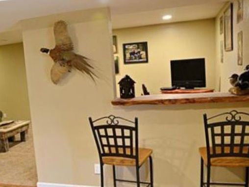 Bar in basement 