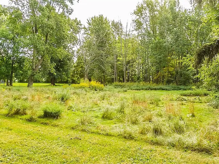 225 River Meadow Dr — Photo 10