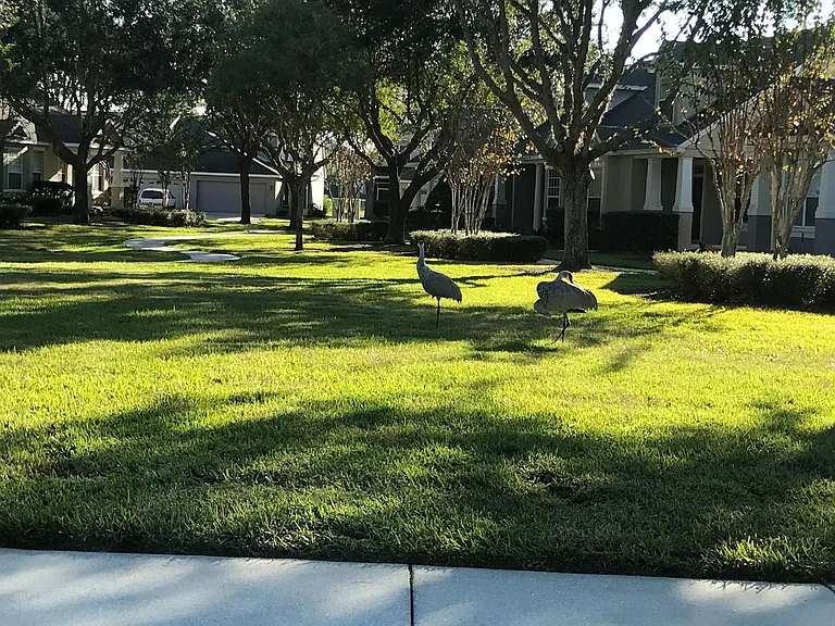 6486 Merrick Landing Blvd — Photo 16