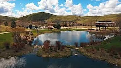 Fishing Pond