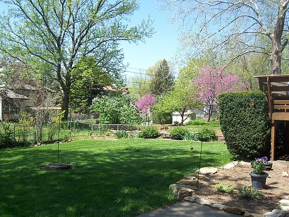 Backyard View from the Patio
