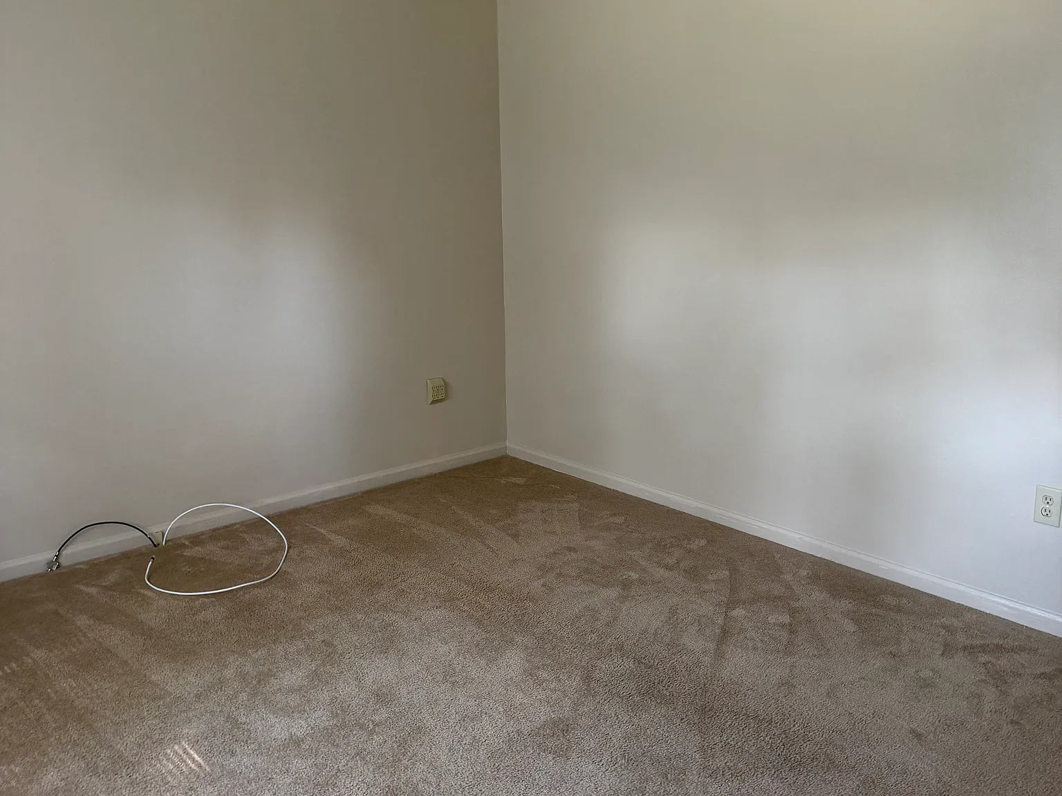 2 bed, 856 sqft, $1,100 — Photo 4